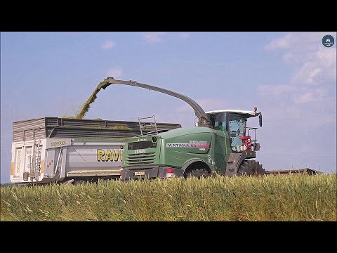 Fendt - Katana 65 | 3 720 & 2 718 - Team Azzini - Insilato triticale 2023