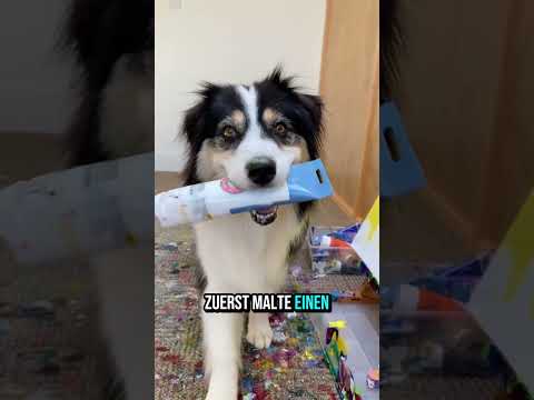 Der erste Künstlerhund der Welt