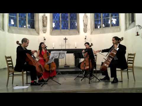 Nanyrianan Cello Quartet - J. Haydn: Adagio Cantabile