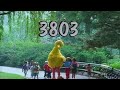 Sesame Street Ep 3803 December 30 1998 Recreation