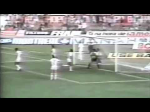 Atlético-MG 2 x 0 Fluminense - Brasileiro 1989 - Narração: Willy Gonser