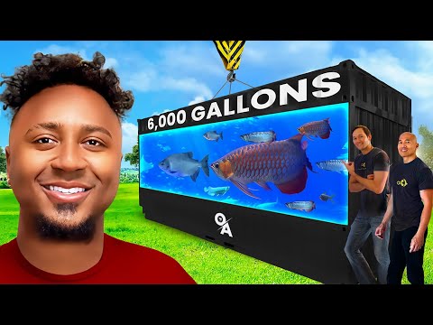 Ozzie Albies' EPIC 6,000-Gallon Monster Fish Tank!