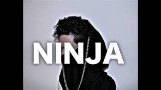 Rex Mac - Ninja