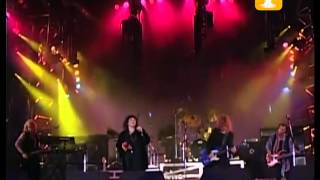 Heart, Wild Child, Festival de Viña 1994