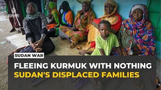 Sudan's RSF captures Blue Nile city, displaces thousands in ongoing conflict