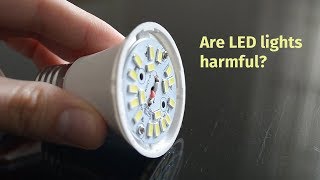 Are LED lights harmful?
