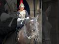King S GUARD And Beautiful HORSE Special Bond With Each Other Kingsguard Londonwalk Horse