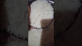 Download lagu MISS SAKSORN NUANLAONG THE POSITION OF THE NEW JUDGE OF THE INTERNATIONAL COURT OF JUSTICE mp3