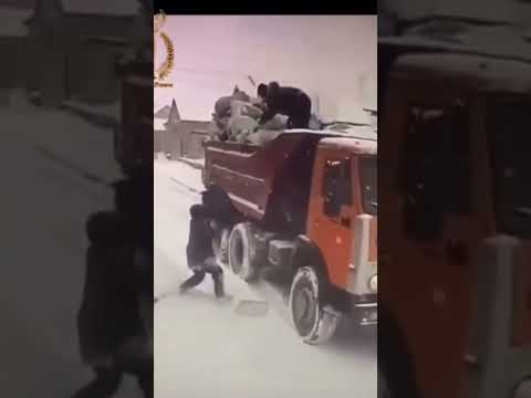 Ржу не могу#shorts#funny #funnyvideo#смех#fun#юмор#россия#беларусь#кыргызстан#прикол#казахстан#умора