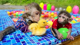 Download lagu Monkey Baby Bim Bim Drive A Boat To The Pool And Opens Surprise Eggs With Obi at the pool mp3