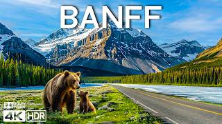 BANFF 4K 🏔️ Most Breathtaking Alpine Wilderness - Scenic Relaxation Film | Epic Cinematic Music