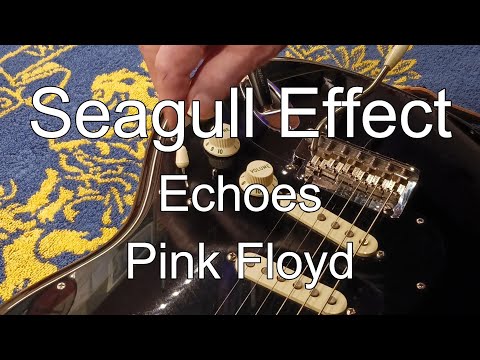The Seagull Effect - David Gilmour - Echoes - Pink Floyd