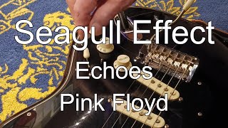The Seagull Effect - David Gilmour - Echoes - Pink Floyd