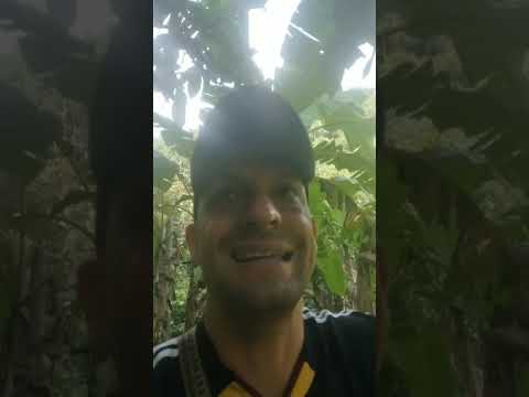 Gestión de apoyo a unidades productivas del Sur de la Guajira.