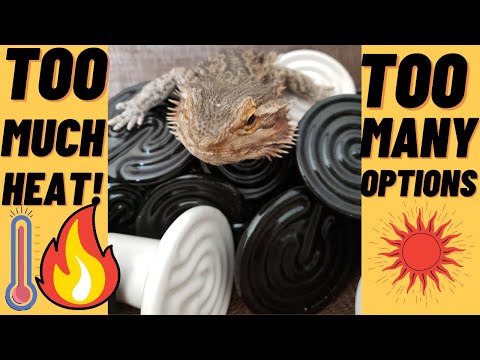HOW I CONTROL HEAT AND HUMIDITY FOR BEARDED DRAGONS