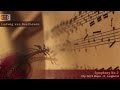 Ludwig van Beethoven - Symphony No.2 (Op.36) D Major - II. Larghetto