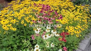 24139 Old Peak Rd Philomath, OR   Lot Line Update