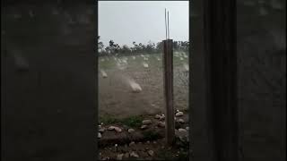 Very big hail storm 😮#shorts #dangerousrain#rain#danger