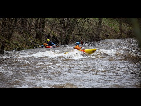 Dreisam Hochwasser Januar 2021