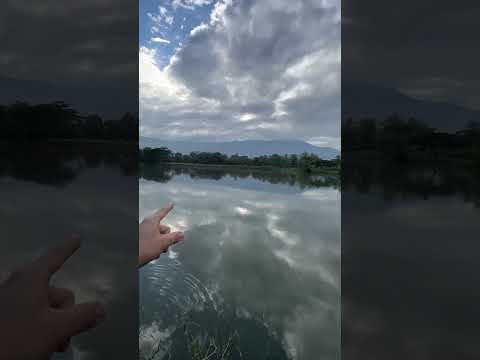 Lotes campestres  en Ginebra Valle