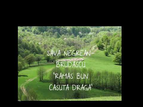 Sava Negrean Brudascu-Ramas bun casuta draga