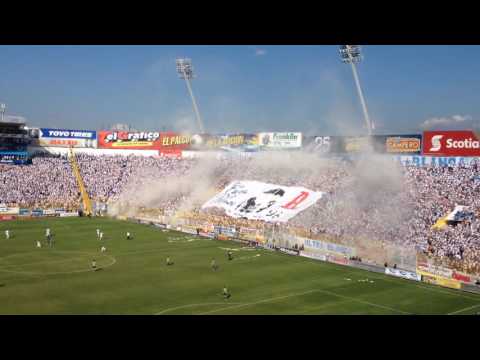 "Recibimiento de Ultra Blanca a Alianza F.C. | Final Apertura 2016" Barra: La Ultra Blanca y Barra Brava 96 • Club: Alianza