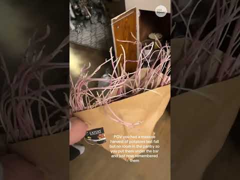 Couple has a 'root' awakening. See their shocking discovery.