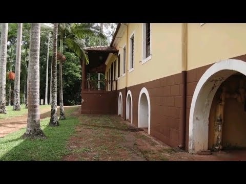 Placas informativas são instaladas na floresta