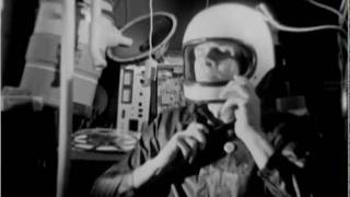 Tears Run Rings - Divided - Official Video