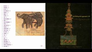 Arto Lindsay Trio - Venus