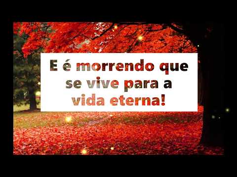 Viver pra mim é Cristo!