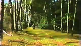 Adiestramiento Drahthaar A-Z