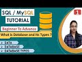 1 What Is Data Database DBMS And Types Of Database Fundamentals Of Database