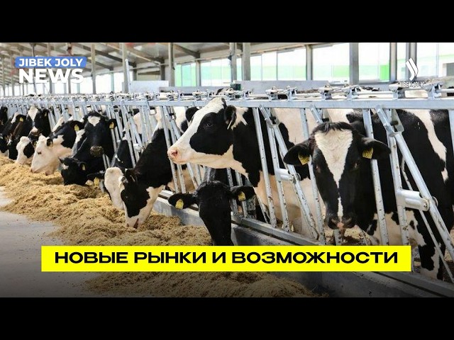 Отечественная продукция завоёвывает рынки с помощью Экспортно-кредитного агентства Казахстана