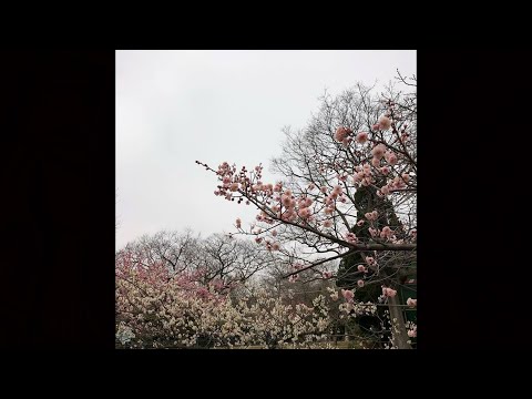 ambient jpegmafia x flume type beat - "haze"