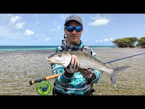 Los Roques Fly Fishing