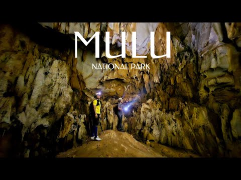 Discover Mulu National Park, Sarawak, Malaysia 🇲🇾