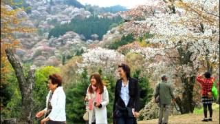 Mount Yoshino 吉野山 Yoshinoyama Cherry Blossom by karigrohncom Nana Mouskouri I Gave My Love a Cherry