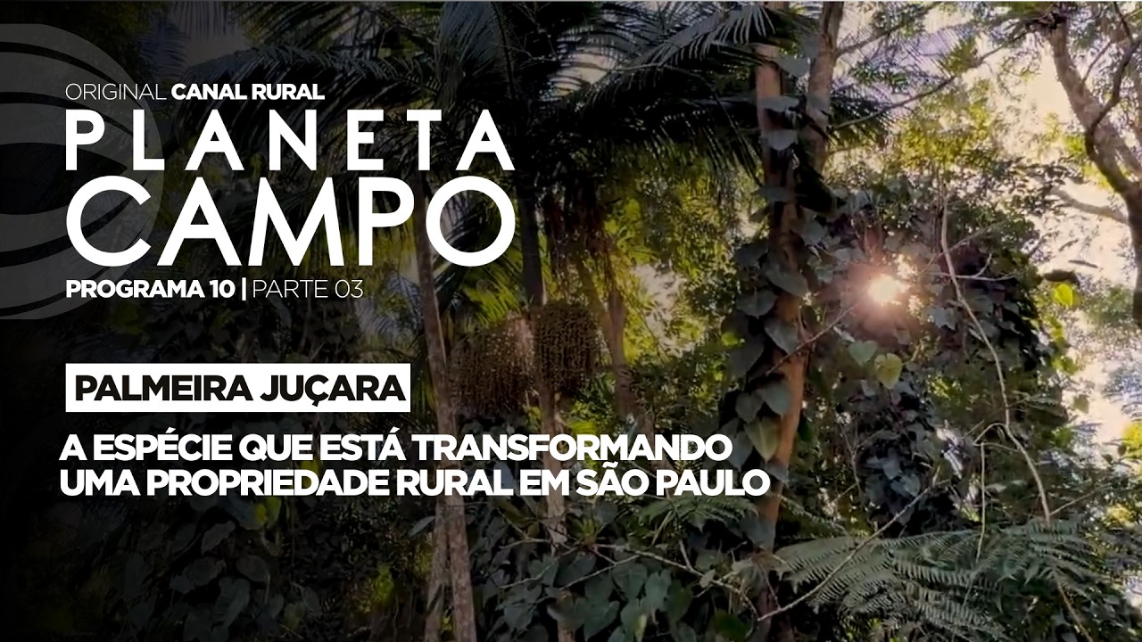 Agricultura familiar em SP transforma vidas no campo | Planeta Campo - ep.10 parte 2