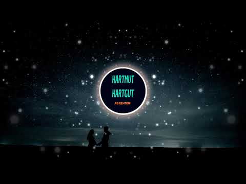 Bis der Himmel sich dreht [Tekk] [Hartmut Hartgut Remix]