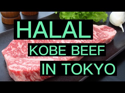 HALAL Kobe Beef in TOKYO | Issho Ueno Restaurant