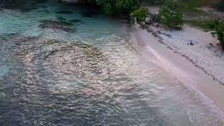 Most Beautiful Beach Drone Shots/DJI