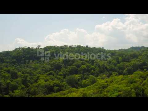 costa rica aerial v13 flying low over dense jungle forests smji0qgr