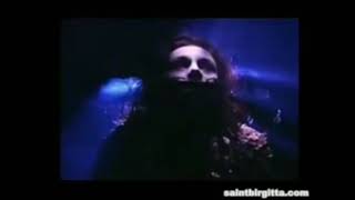 Rammstein - Zwitter (video clip)