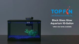 PetSmart Top Fin LED Black Glass #Aquarium Setup
