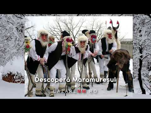 BOIU MARE Maramures, Viziteaza Boiu Mare, Cazare, Pensiuni   CazareMM