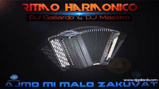 DJ Gallardo & DJ Maestro - Ritmo Harmonico (Radio Edit) 2012