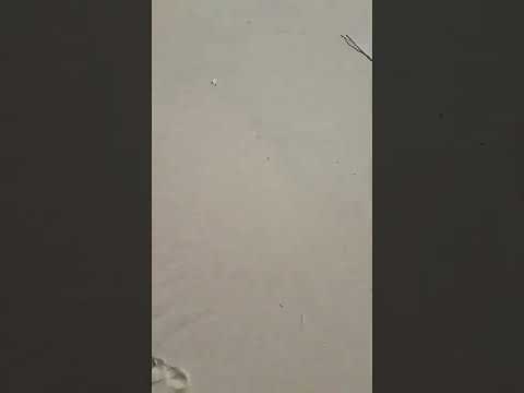 #27C 5-12-2022⏳🛸⌛🌊🌊🌊🌊🌊🏄‍♀️🏄‍♂️🌊🌊🌊🌊🛸🛸🛸🛸🛸🛸🛸🛸🛸🛸