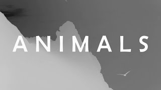 Coldplay - Animals (Fans Lyric Video)