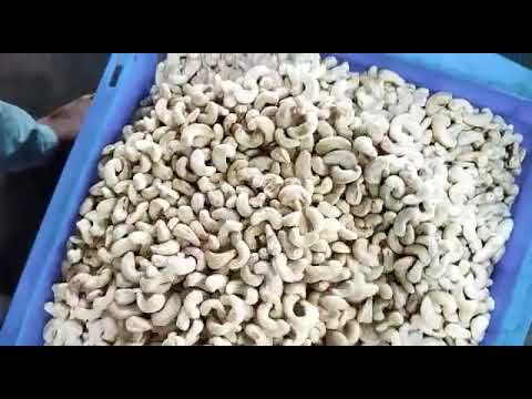 Scorched Wholes Sw Cashew Nuts Premium
